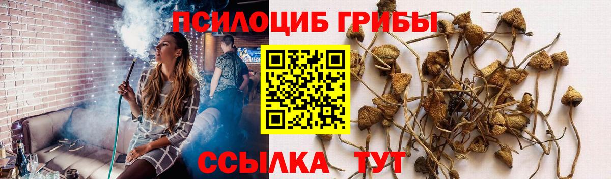 Псилоцибиновые грибы Magic Shrooms Губкинский
