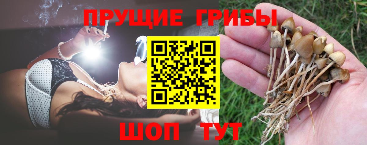 Губкинский  Псилоцибиновые грибы Psilocybine cubensis  Вход с VPN  где купить наркоту  Галлюциногенные грибы мицелий 