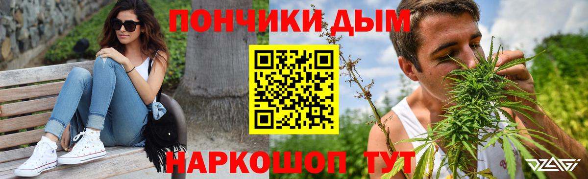 Канабис конопля Губкинский